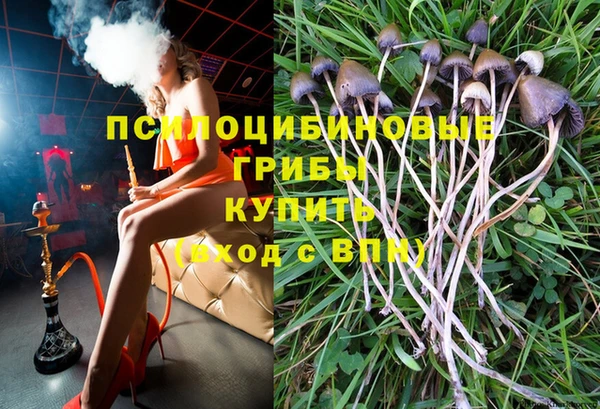 a pvp Абинск